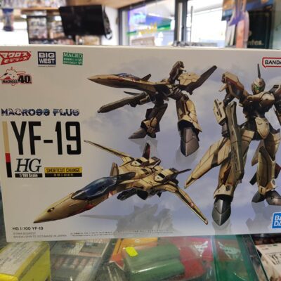 Macross YF 19 HG 1/100 model kit