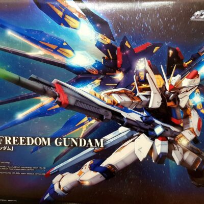 PG Strike Freedom Gundam