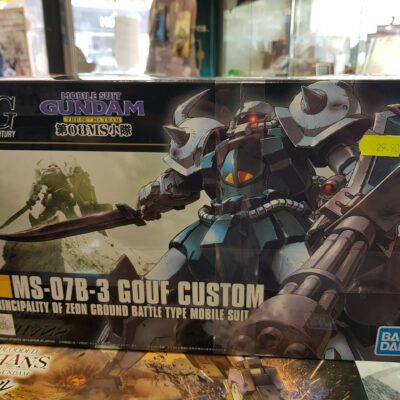 Hg 117 Gouf Custom