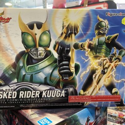 HG masked rider kuuga