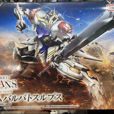 HG barbatos lupus