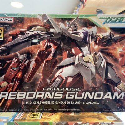 HG gundam reborns